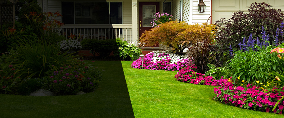 Lost Hills Landscapers